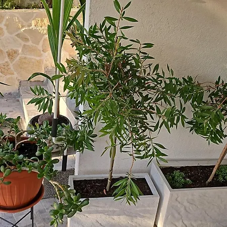 Apartman Sandra - *